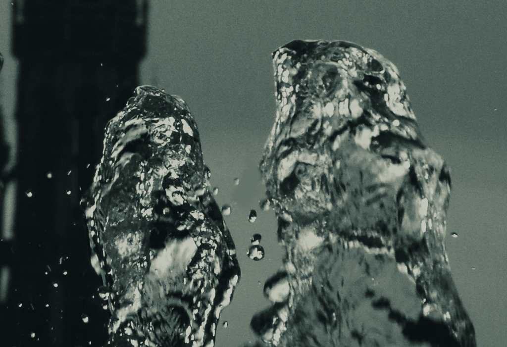 Альбом "Изображение без названия" | Фотография "Water Gravitation" от Натали Антонович в Архиве/Банке Фотографий