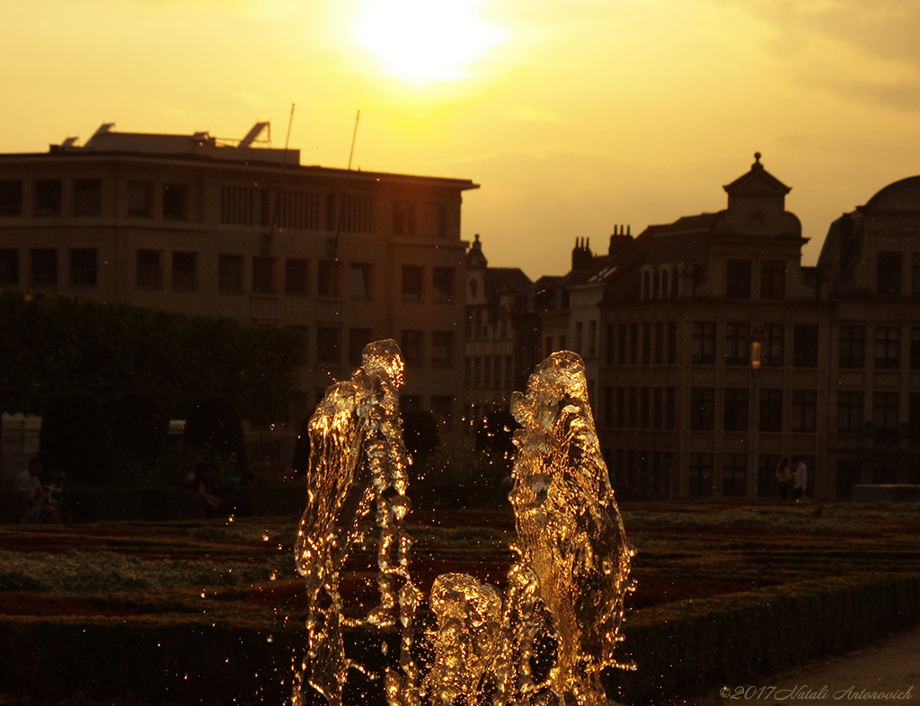 Album  "Image without title" | Photography image "Water Gravitation" by Natali Antonovich in Photostock.