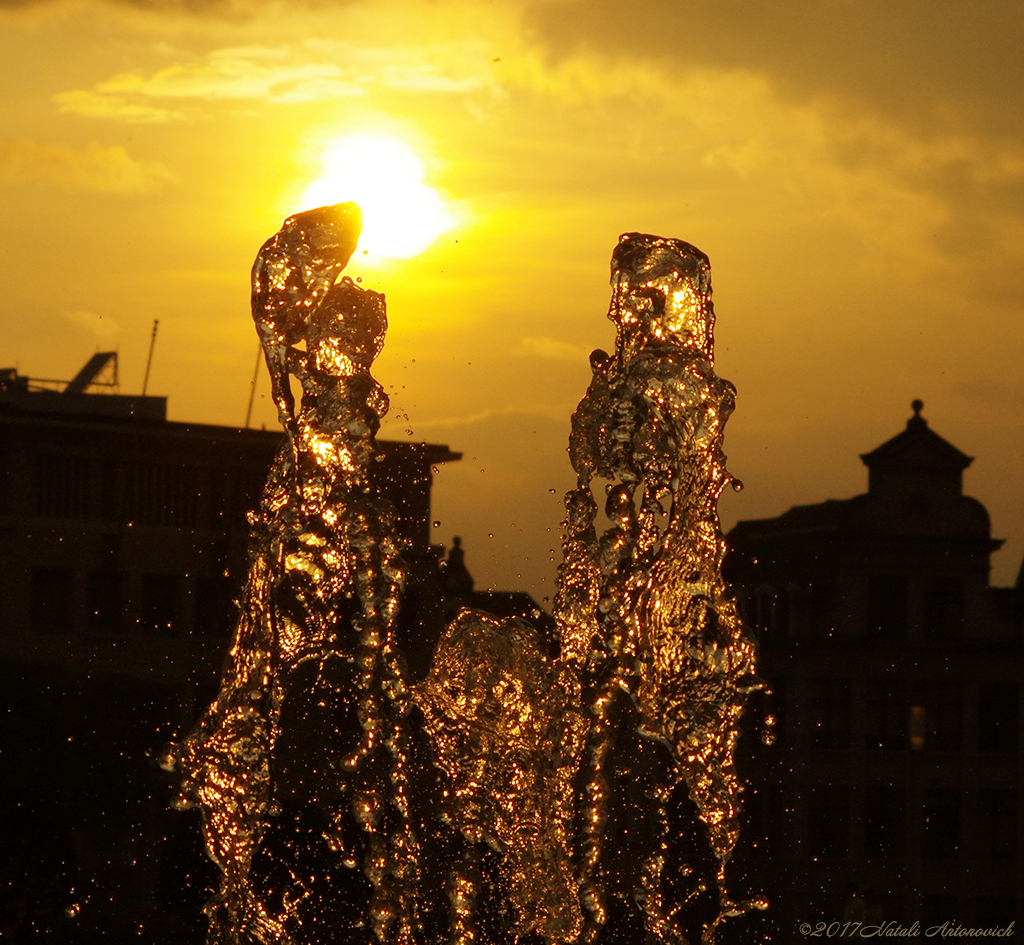 Album "Bild ohne Titel" | Fotografiebild "Water Gravitation" von Natali Antonovich im Sammlung/Foto Lager.