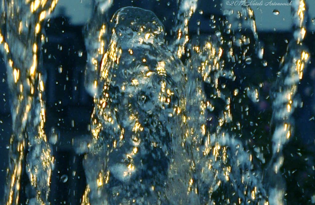 Album "Image sans titre" | Image de photographie "Water Gravitation" de Natali Antonovich en photostock.