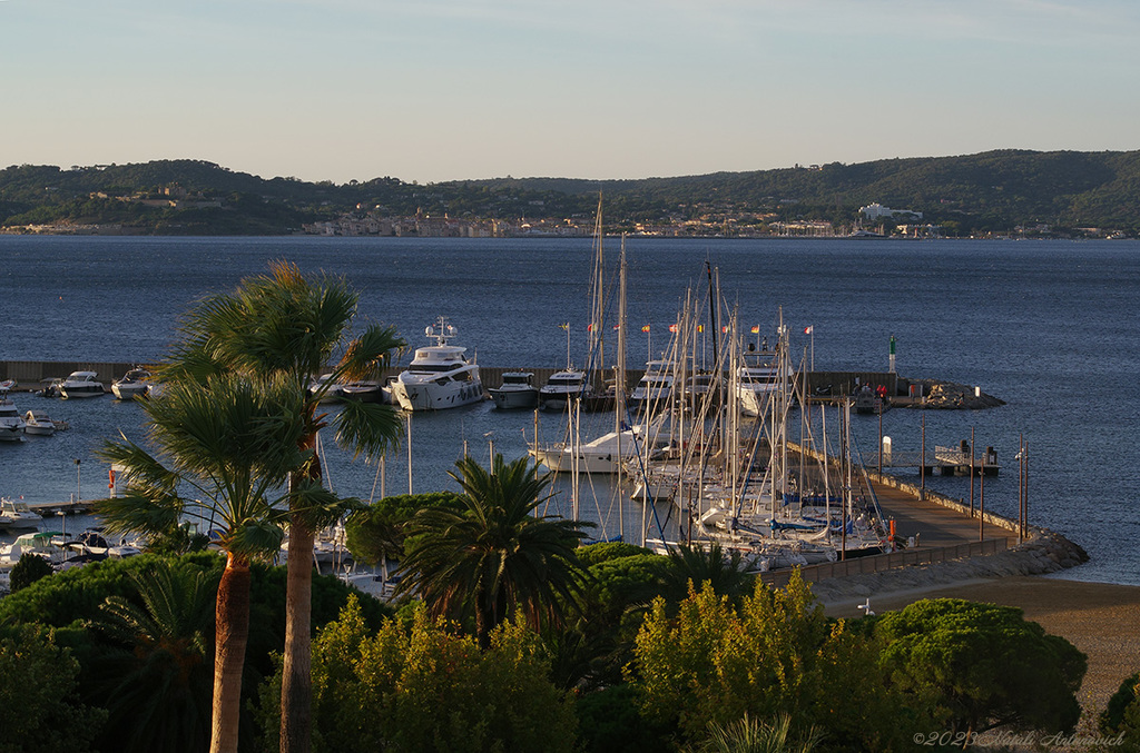 Album "Sainte-Maxime" | Fotografie afbeelding "Frankrijk" door Natali Antonovich in Archief/Foto Voorraad.