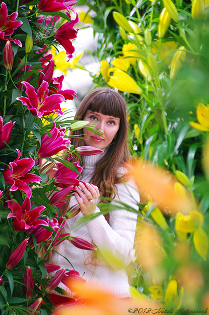 Album "Bild ohne Titel" | Fotografiebild "Blumen" von Natali Antonovich im Sammlung/Foto Lager.