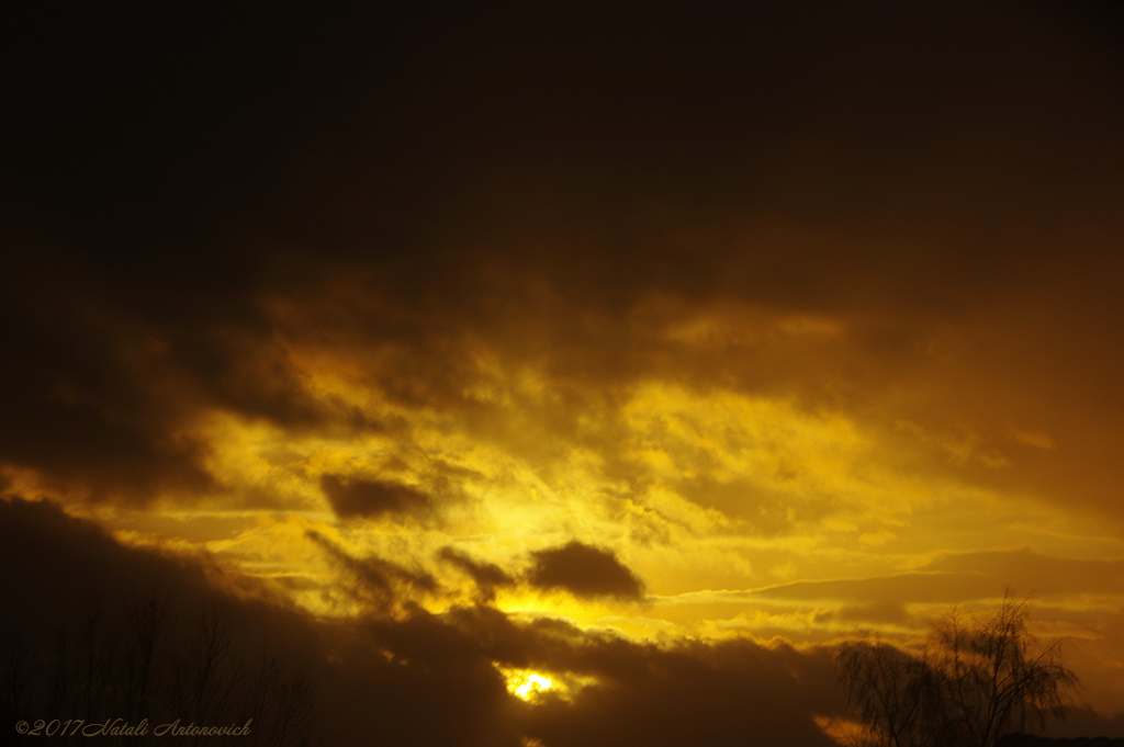 Album "Bild ohne Titel" | Fotografiebild "Celestial mood" von Natali Antonovich im Sammlung/Foto Lager.