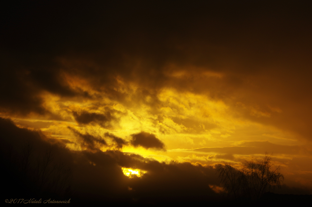 Album "Afbeelding zonder titel" | Fotografie afbeelding "Celestial mood" door Natali Antonovich in Archief/Foto Voorraad.