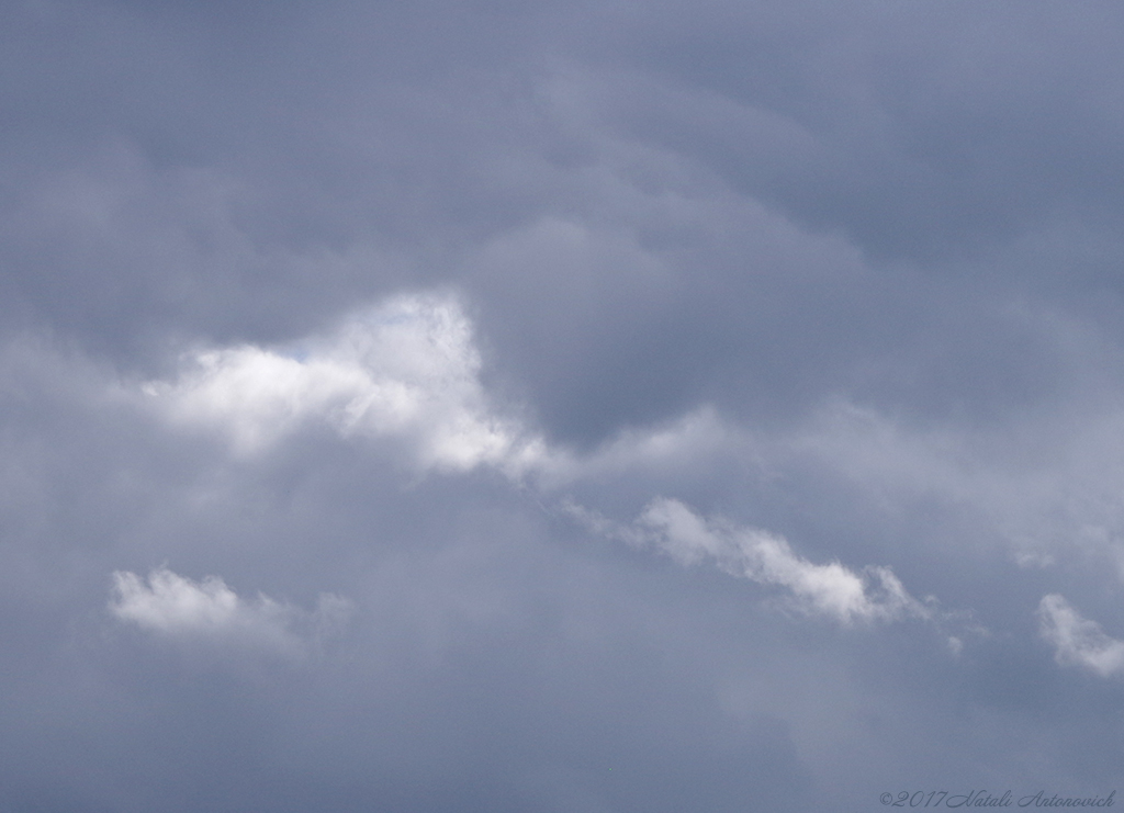Photography image "Image without title" by Natali Antonovich | Photostock.