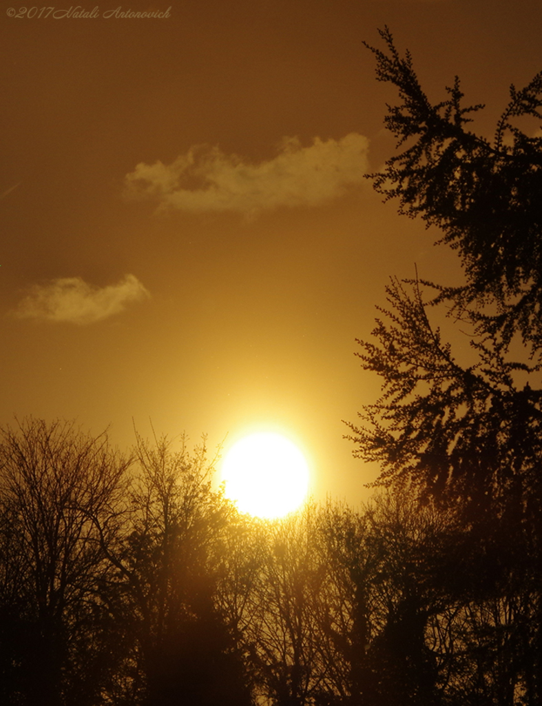 Album "Afbeelding zonder titel" | Fotografie afbeelding "Celestial mood" door Natali Antonovich in Archief/Foto Voorraad.