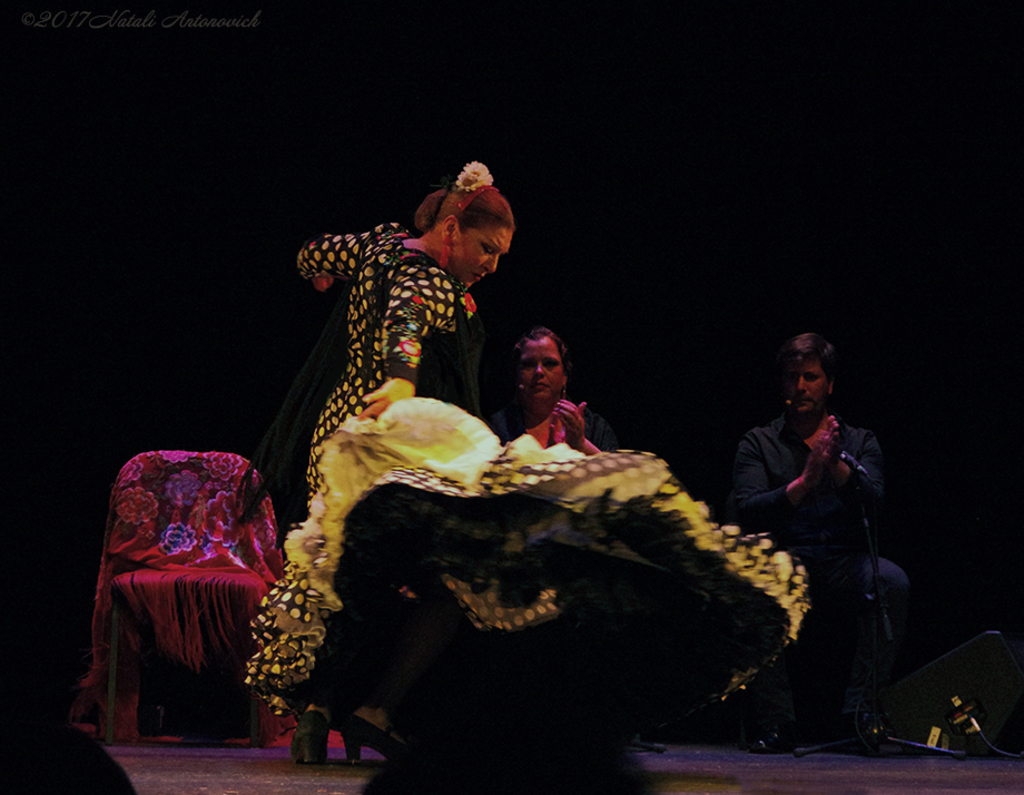 Album "Milagros Menjibar" | Fotografiebild "Dance" von Natali Antonovich im Sammlung/Foto Lager.