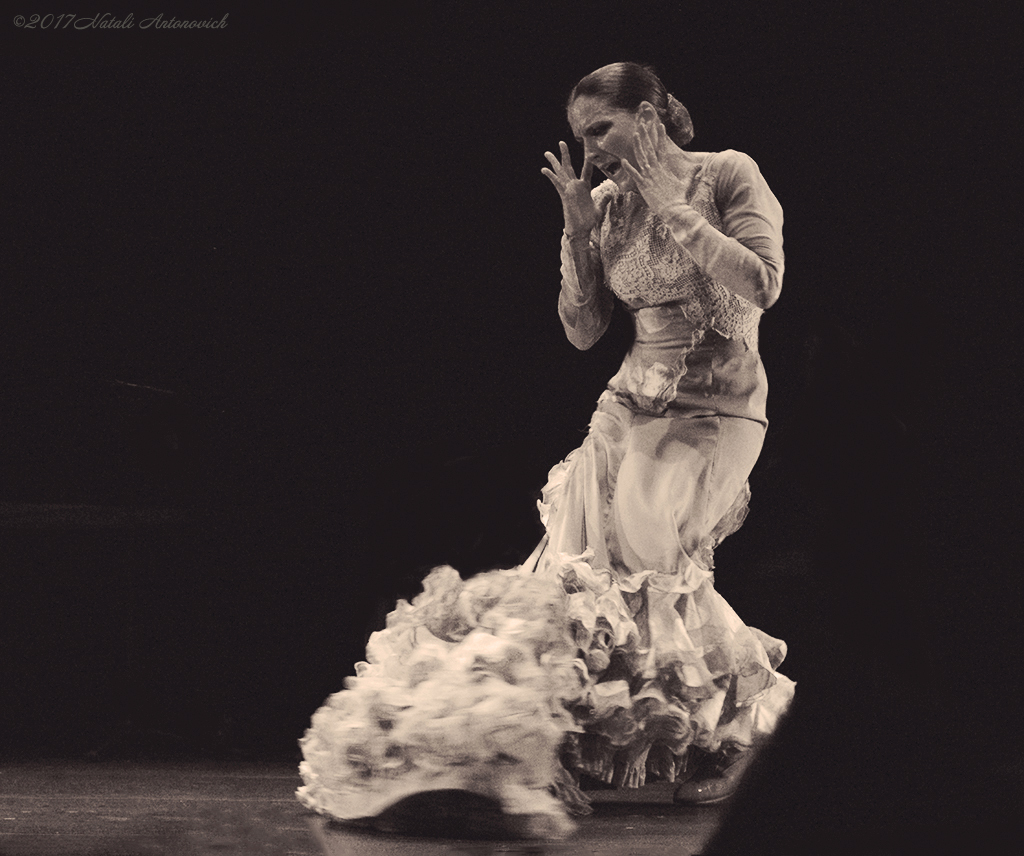 Альбом "Luisa Palicio" | Фотография "Dance" от Натали Антонович в Архиве/Банке Фотографий