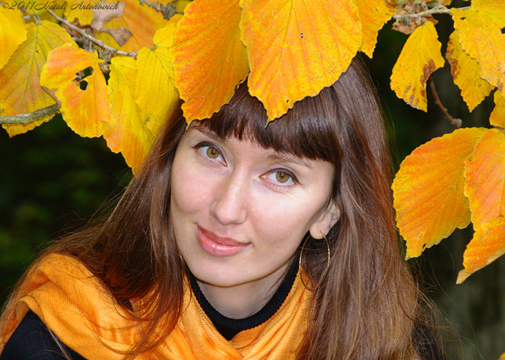 Альбом "Natalya Hrebionka" | Фотография " Осень" от Натали Антонович в Архиве/Банке Фотографий