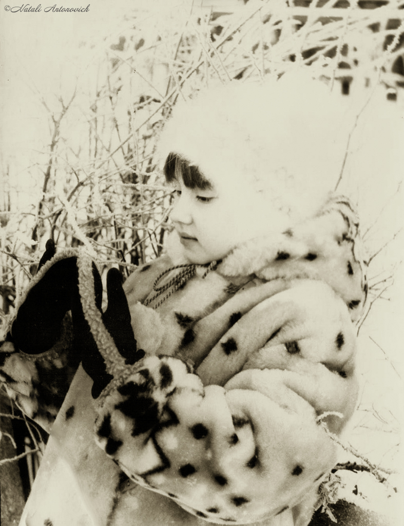 Album "Natalya Hrebionka" | Fotografie afbeelding "Winter. Kerstvakantie" door Natali Antonovich in Archief/Foto Voorraad.