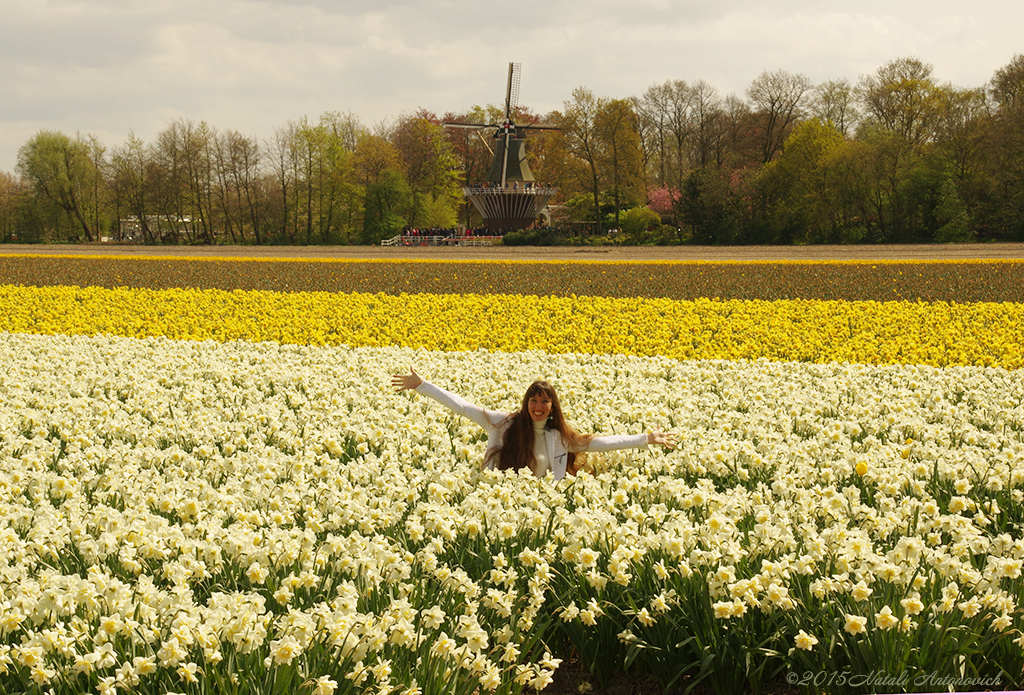 Album  "Image without title" | Photography image " Spring" by Natali Antonovich in Photostock.