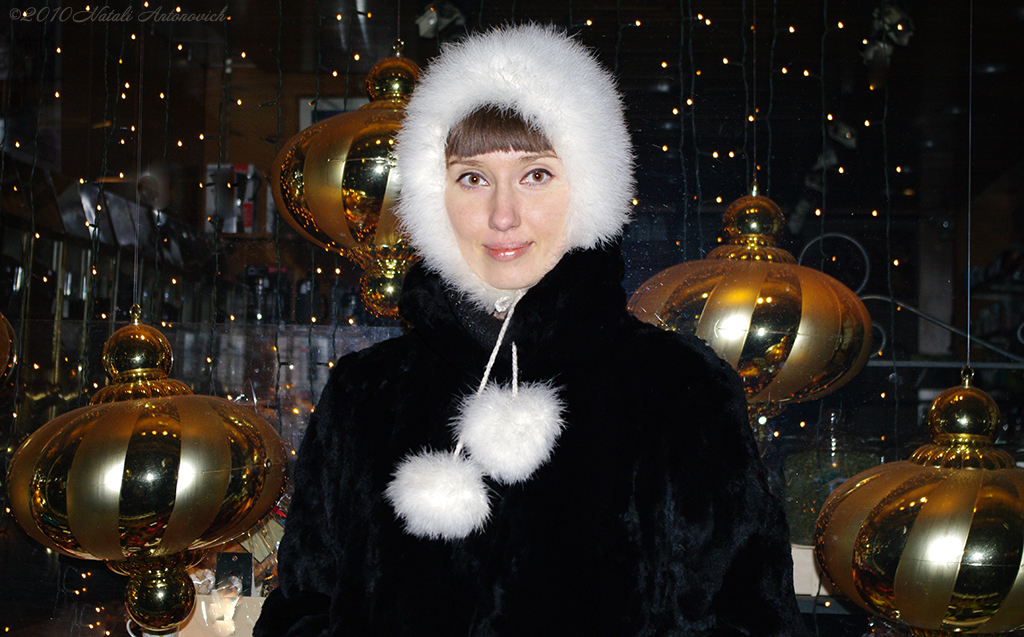 Album "Natalya Hrebionka" | Fotografiebild "Winter. Weihnachtsferien" von Natali Antonovich im Sammlung/Foto Lager.