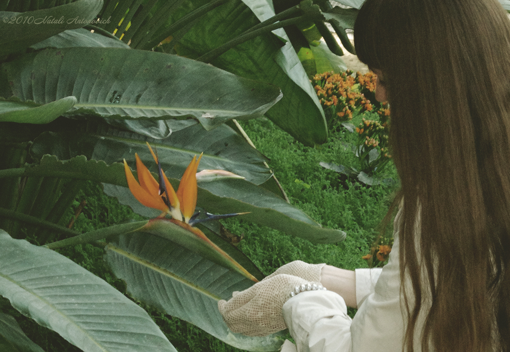 Photography image "Natalya Hrebionka" by Natali Antonovich | Photostock.