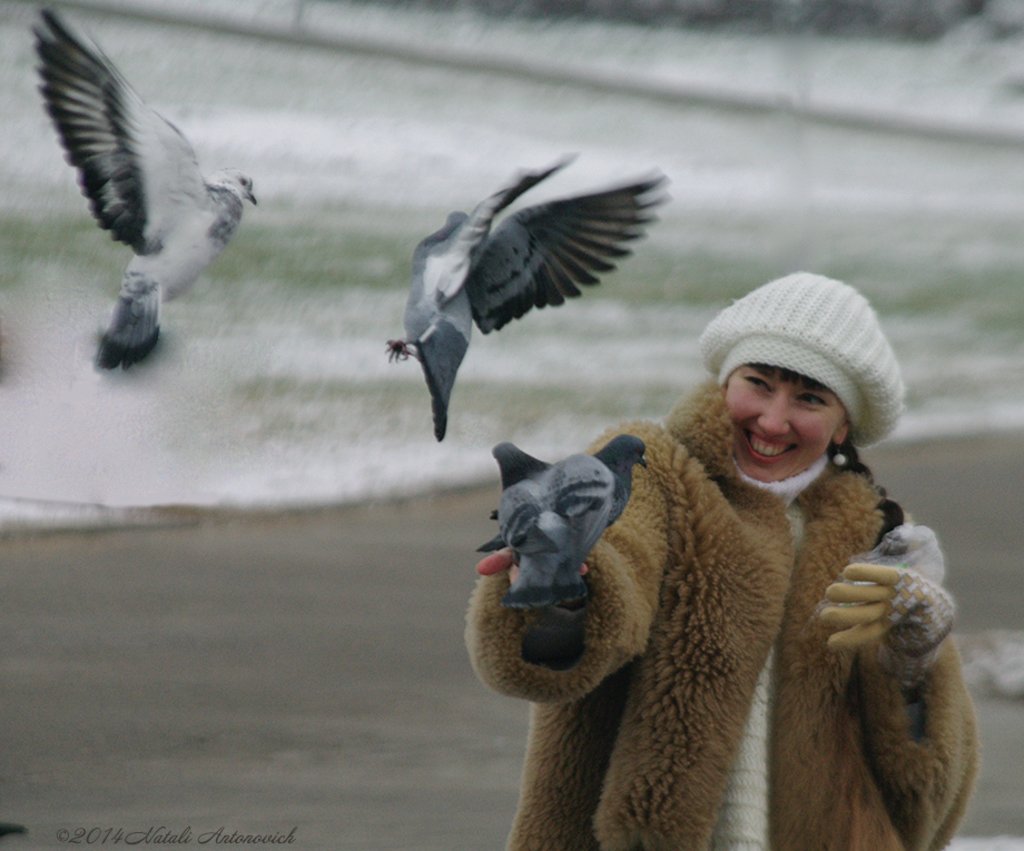 Album "Natalya Hrebionka" | Fotografiebild "Winter. Weihnachtsferien" von Natali Antonovich im Sammlung/Foto Lager.