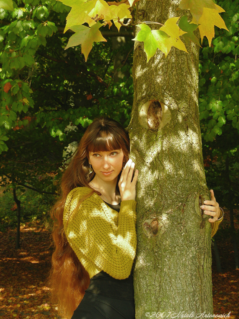 Album "Natalya Hrebionka" | Fotografiebild "Herbst" von Natali Antonovich im Sammlung/Foto Lager.