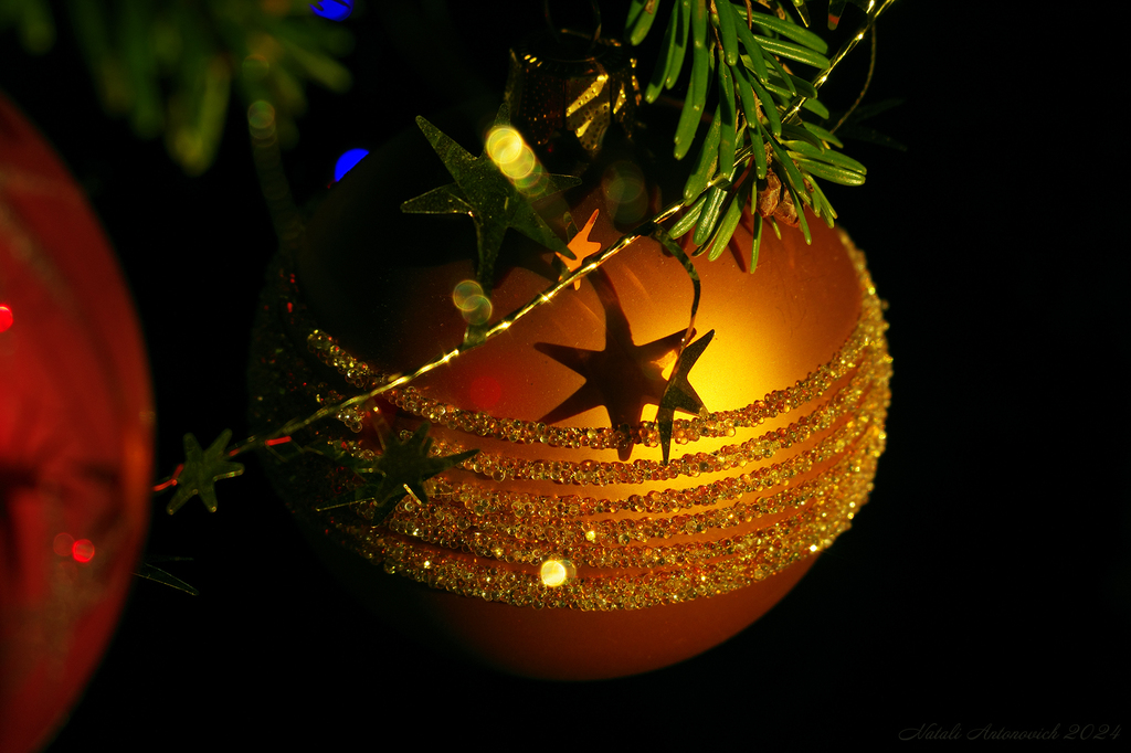 Фотография "Зима. " от Натали Антонович | Aрхив/Банк Фотографий