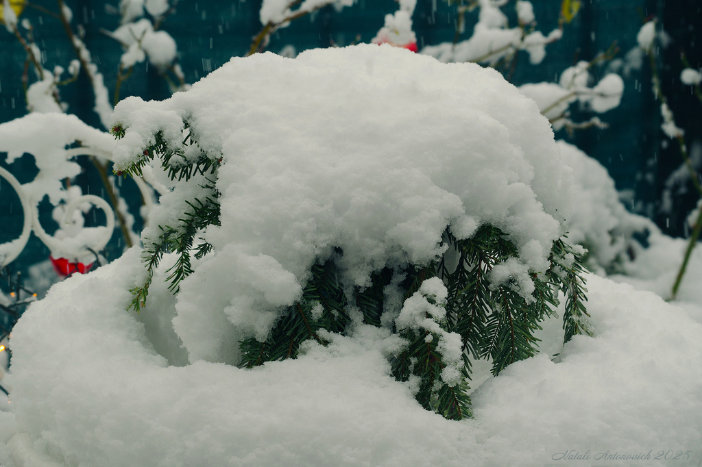 Фотография "Зима" от Натали Антонович | Aрхив/Банк Фотографий