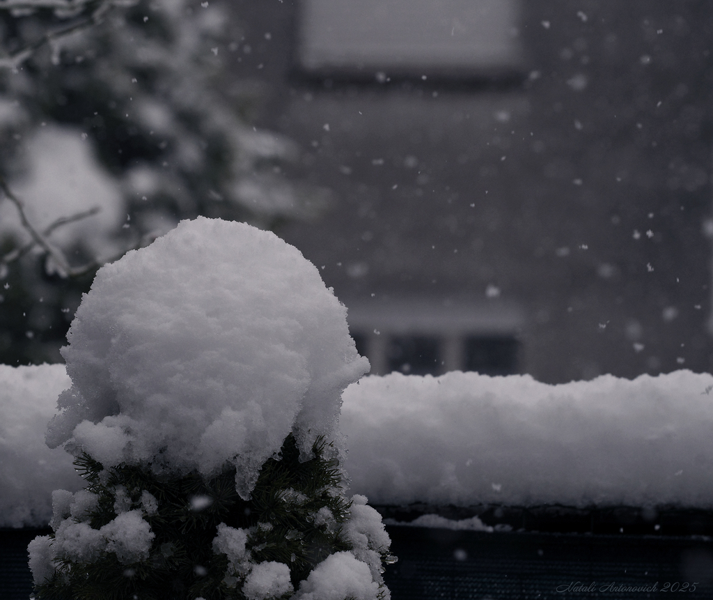 Фотография "Зима" от Натали Антонович | Aрхив/Банк Фотографий