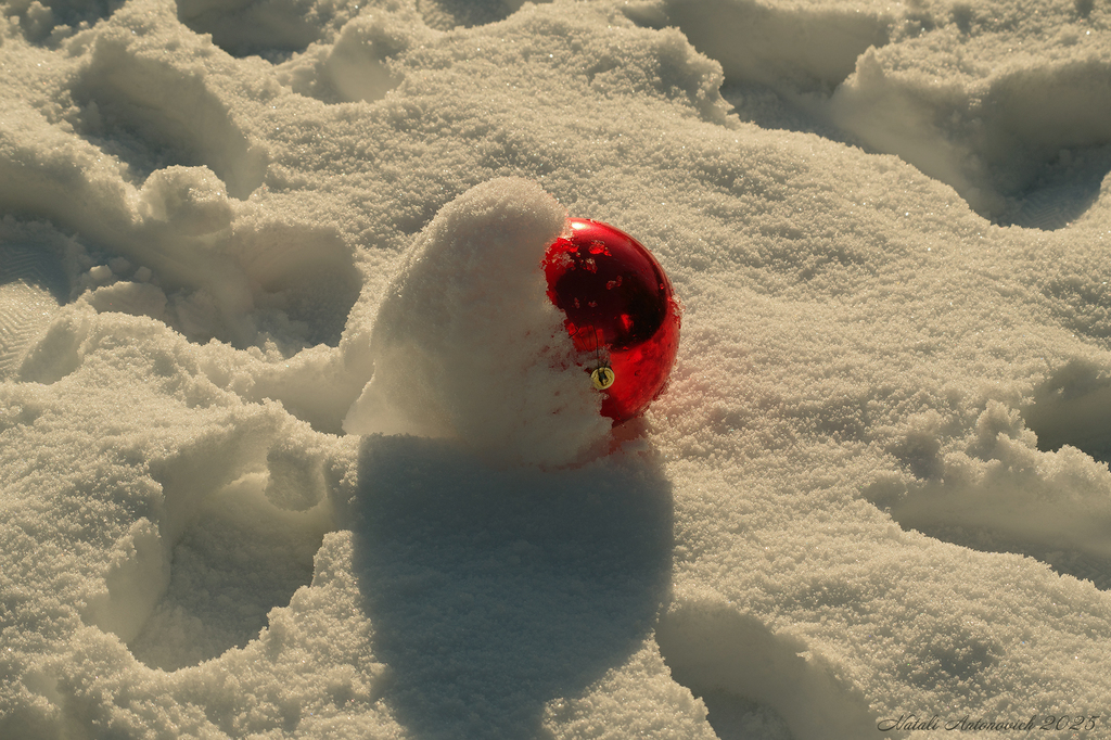 Фотография "Зима" от Натали Антонович | Aрхив/Банк Фотографий