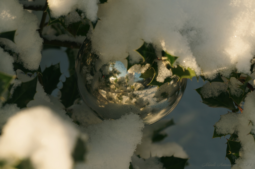 Фотография "Зима" от Натали Антонович | Aрхив/Банк Фотографий