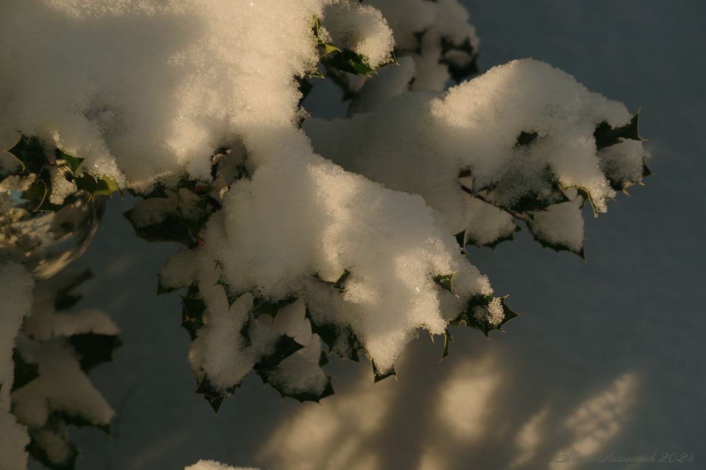 Фотография "Зима" от Натали Антонович | Aрхив/Банк Фотографий