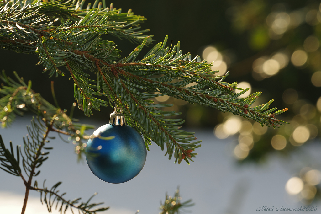 Фотография "Зима" от Натали Антонович | Aрхив/Банк Фотографий
