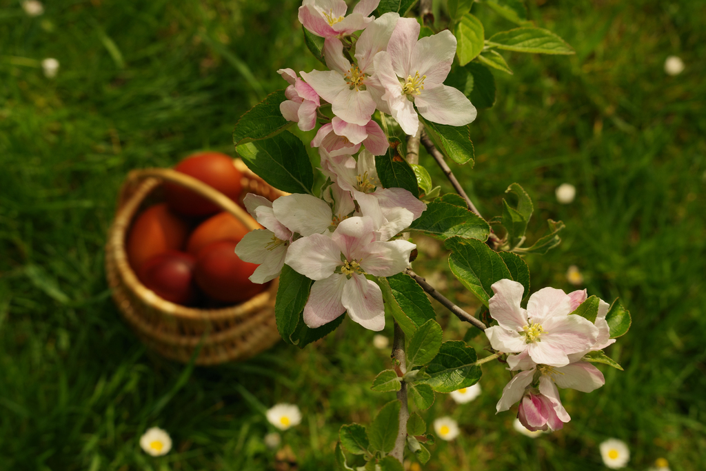 Photography image "Spring. Easter." by Natali Antonovich | Photostock.