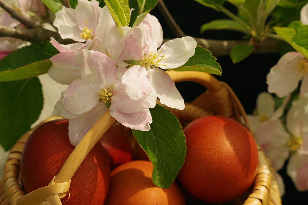 Photography image "Spring. Easter." by Natali Antonovich | Photostock.
